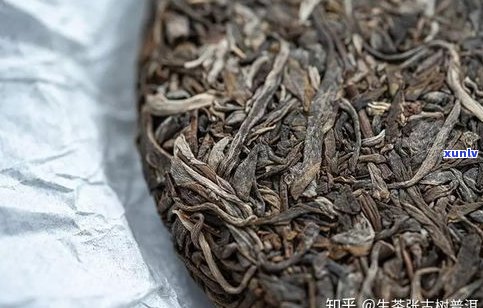 深入解析：普洱茶的特点、口感与品种——以曼松为例