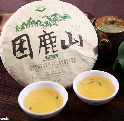 普洱茶的八个特点-普洱茶的八个特点是什么