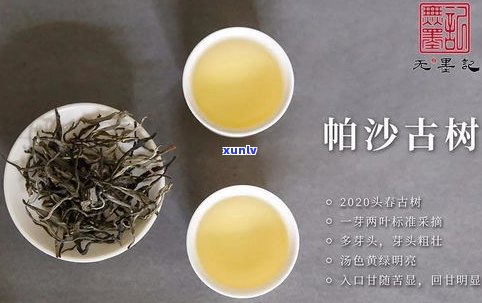 帕沙普洱茶口感特点介绍：哪个茶区、价格多少，一文告诉你