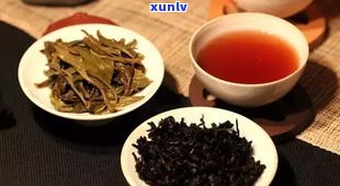 买普洱茶的小妹妹：身份揭秘与茶叶介绍