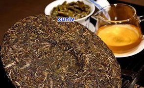 深圳哪里有普洱茶-深圳哪里有普洱茶压饼的地方