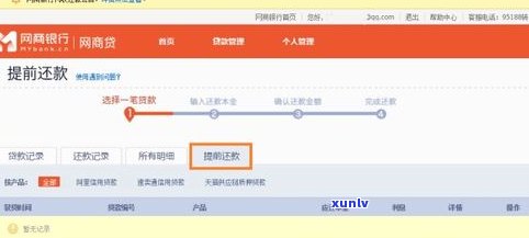 借了网商贷还能借借呗吗？安全性怎样？