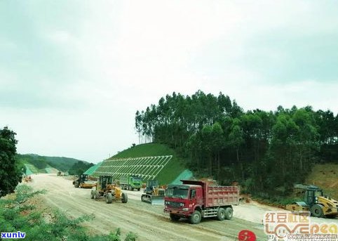 大浦是哪里？探寻大浦的交通、旅游及采茶景点，让你玩转大浦！