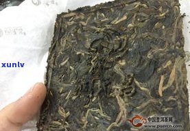 台州市砖状普洱茶-台州市砖状普洱茶生产厂家