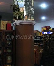 宁德熟普洱茶工厂大全：品牌、厂家一网打尽！