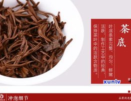 云南双雄茶厂班章价格及产品介绍：2004、2005年班章野生茶、青饼、古茶树等信息全览