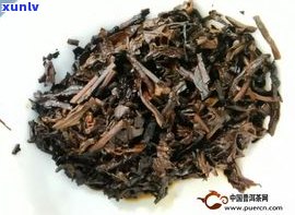 04年普洱茶品质鉴定与鉴别  