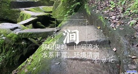 三坑两涧分别产什么茶？详解三坑两涧的茶叶种类与产地