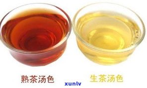 普洱熟茶产生年代：起源与原因探究