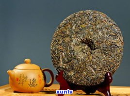 深入解析：老普洱茶的独特特点与魅力