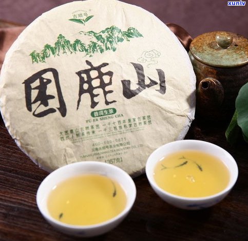 普洱茶困鹿山具 *** 置：探寻云南普洱困鹿山古茶，了解其价格、口感特点及公司官网