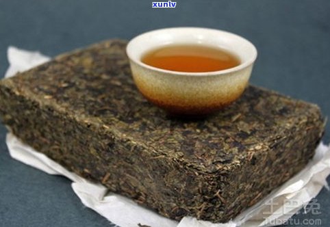 普洱茶黑条的特点与作用解析