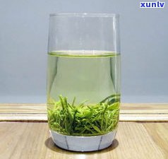 广西百色名茶：野生茶叶及新茶推荐