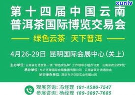 滇洱茶叶：30类商标初审公告时间公布，关注滇洱茶叶有限公司与滇垚普洱品牌动态