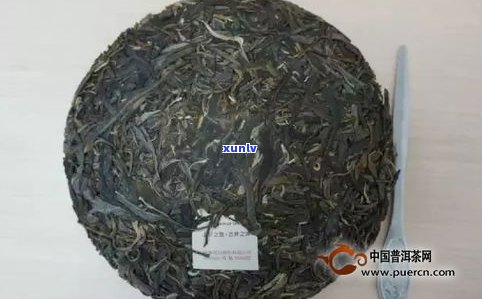 普洱茶饼能撬散吗-普洱茶饼能撬散吗图片