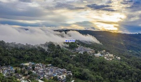 勐勐大丙山普洱茶-云县大丙山的普洱茶