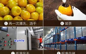 江门熟普洱茶零售价格表最新查询，含柑普茶茶叶信息