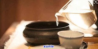 一克普洱茶能泡多少毫升水？详细解析茶叶与水量的关系