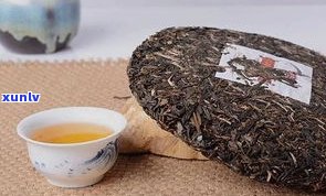 静海熟普洱茶零售价多少？最新报价一斤多少钱？