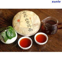 品味普洱茶：回甘体验与价格一览，探索普洱品味茶业有限公司的世界