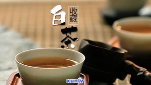 手抖能喝普洱茶吗-手抖能喝普洱茶吗女性