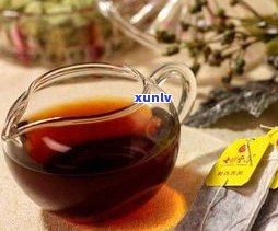 百年普洱茶树图片：高清欣赏与功效解析