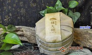 百年绿大树普洱茶-百年老树普洱茶价格