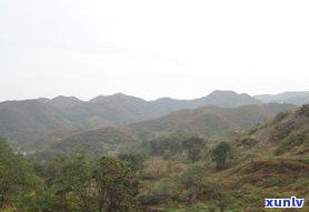 博山的姚家峪：红叶美景与老颜种植地