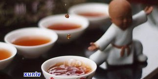 普洱茶能加肥料一起泡吗？探讨其可行性与影响