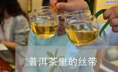 昭通昆明普洱茶饼-云南昆明普洱茶