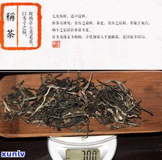 一款普洱茶的诞生-一款普洱茶的诞生于哪一年