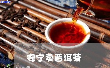 普洱茶的粘稠度原因及其价格影响：深入了解为何普洱茶具有粘稠度