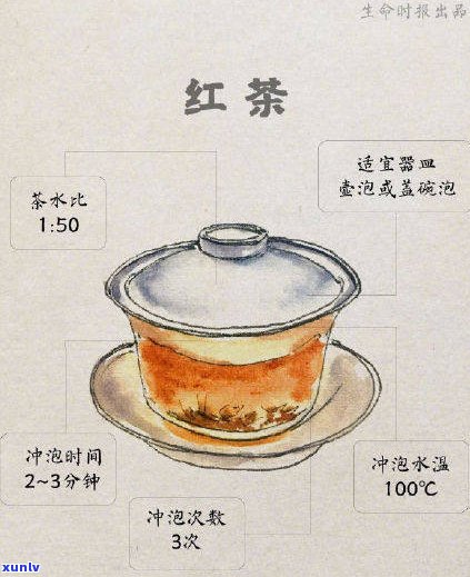 生普洱泡还是煮？专家解析更佳冲泡方法