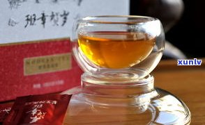 卓顿普洱茶怎么样-卓顿普洱茶怎么样好喝吗