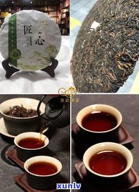 大滇号普洱茶价格：最新行情与评价，了解大滇号茶业有限公司及产品信息