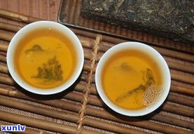 大云号景迈普洱茶-大滇号普洱茶价格