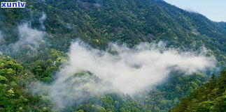 探究千家寨普洱茶特点口感及云南千家寨的普洱茶特性