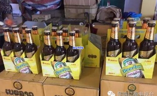 慈溪市帕沙普洱茶专卖店：探索帕瑞思芒果酒店、帕菲克精品主题酒店及茶山，品尝357克茶价