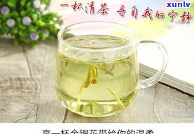 普洱茶能配金银花-普洱茶能配金银花吗