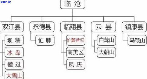 普洱茶生普：定义、分类与功效，一文告诉你什么是生普洱茶