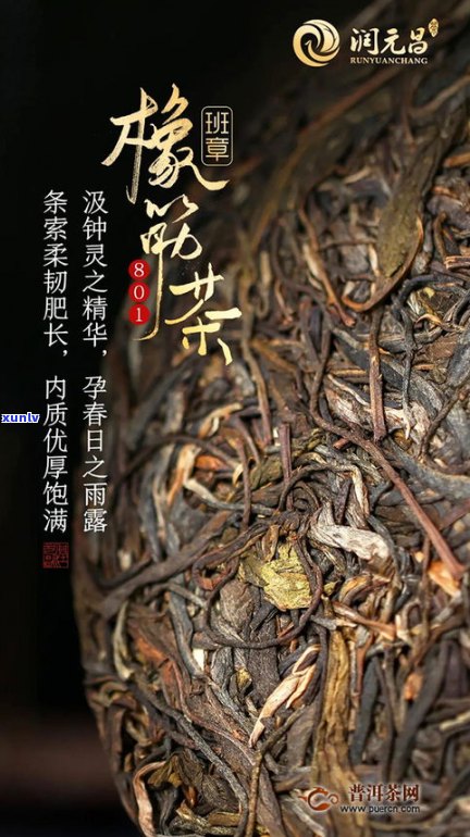 天门山橡筋普洱茶-天门山橡筋普洱茶特点