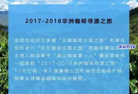 马普茶业：产地、价格与实业概况全解析