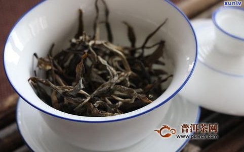 糯香普洱茶的泡法-糯香普洱茶怎么泡