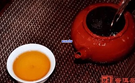 一泡普洱茶多少克-一泡普洱茶多少克合适