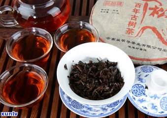 普洱茶的四个品种名称、图片与大全