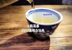 陶瓷茶杯是否适合泡普洱茶？好喝吗？