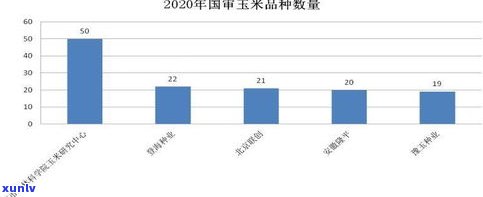 曲辰40号玉米种子：简介、图片与特性全解析