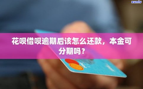 借呗逾期能否再申请分期还款？