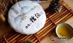 糯香普洱茶珍藏品：香型、味道及价格全解析