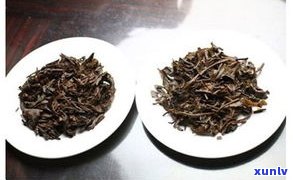 怎样鉴别古树普洱茶：从茶叶外观、香气、滋味到叶底全方位解析，教你识别好坏真假，掌握品评技巧，提升鉴赏水平。